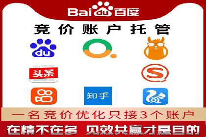 SEM服务案例：助力企业拓展海外市场